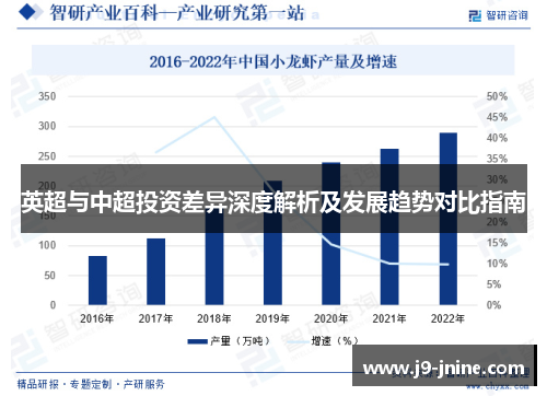 英超与中超投资差异深度解析及发展趋势对比指南