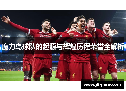 魔力鸟球队的起源与辉煌历程荣誉全解析